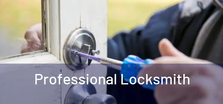  Professional Locksmith 